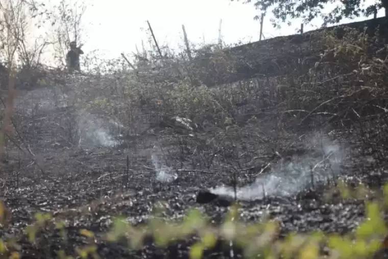 Sakarya’da Korkutan Yangın: Ahırda Başladı Ormanlık Alana Sıçradı 3