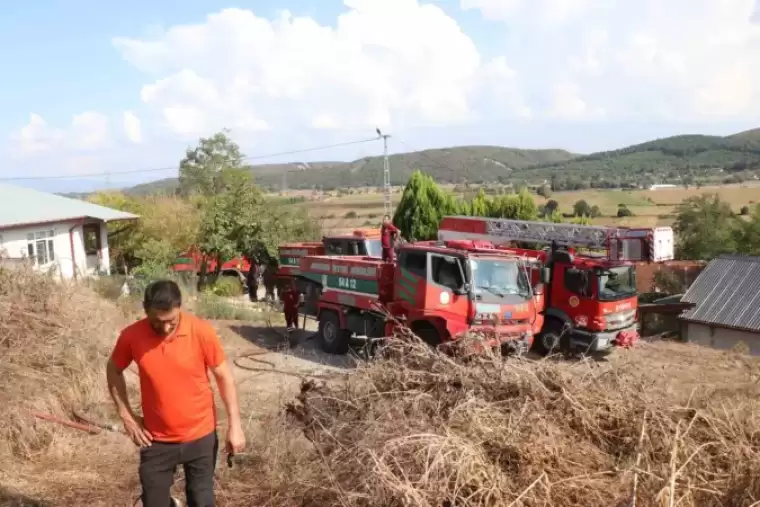 Sakarya’da Korkutan Yangın: Ahırda Başladı Ormanlık Alana Sıçradı 6