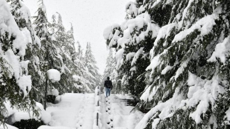 Sakarya'da Yoğun Kar Var