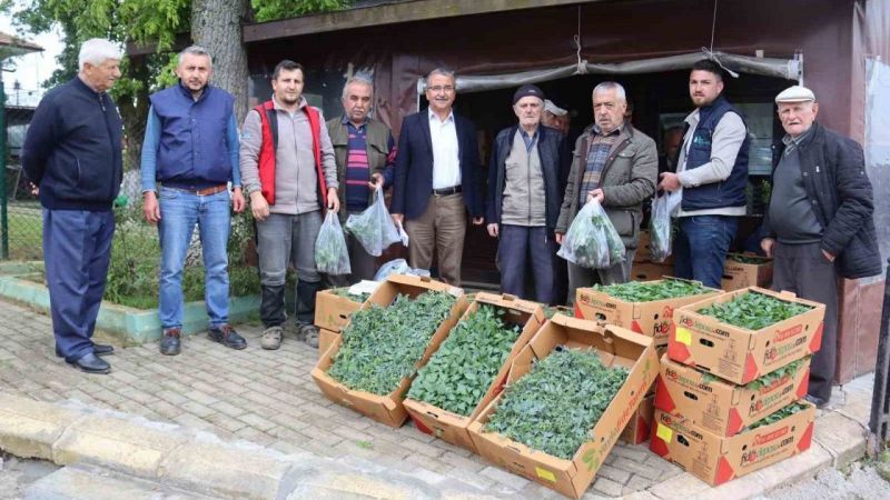 İzmit Belediyesi köylerde fide dağıtımına başladı