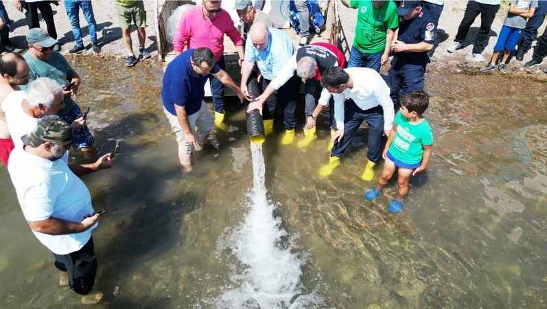 Sapanca Gölü'ne 100 bin balık salındı