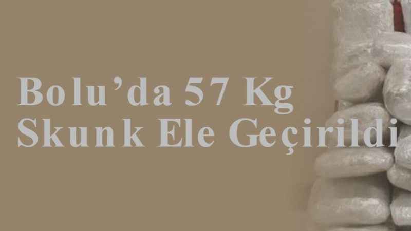 Bolu’da 57 Kg Skunk Ele Geçirildi