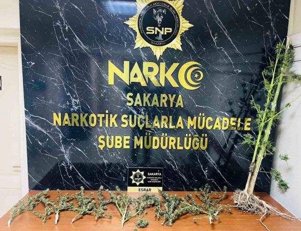 Sakarya Haber: 6 Günde 174 Şüpheli Yakalandı