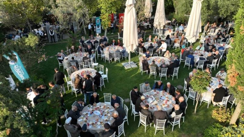 Kocaeli Haber; Başkan Sayir'den 'Çınarlarımıza Sahip Çıkacağız'