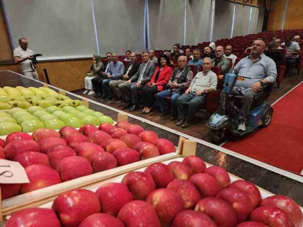 Kocaeli Haber: Gölcük Armutları Görücüye Çıktı!