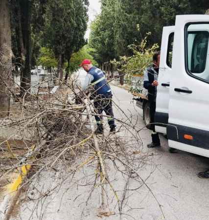 Kocaeli Haber: Mezarlıklarda Bakım İşlemleri...