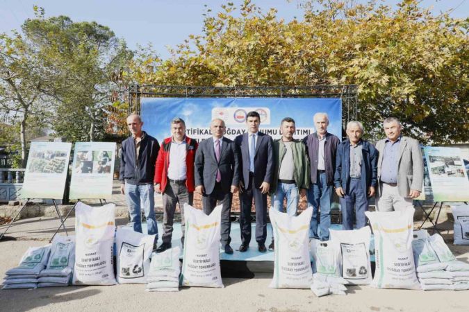 Körfezli çiftçilere sertifikalı buğday tohumu dağıtılacak