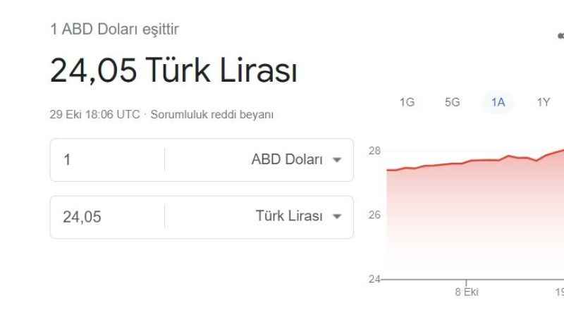 Google Şaşırdı Dolar 24 TL olarak Görünüyor...