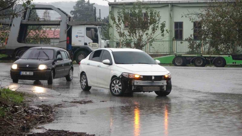 Kocaeli’de şiddetli rüzgar ağacı kökünden söktü