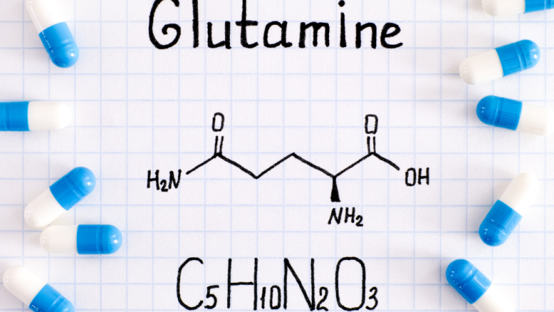 Glutamin Ne İşe Yarar?