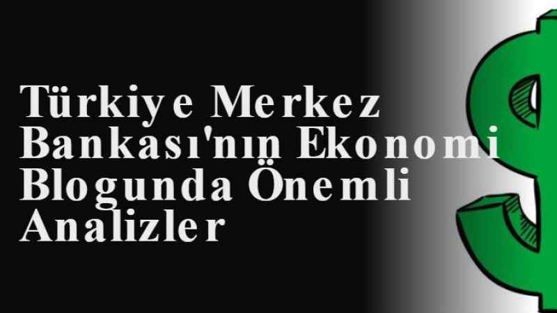 Türkiye Merkez Bankası'nın Ekonomi Blogunda Önemli Analizler