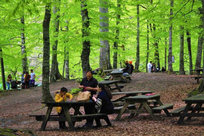 Bolu’nun Doğa Harikasında İnsan Faaliyetleri Doğal Dengeyi Bozdu