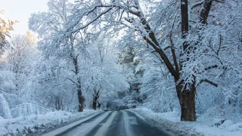 Balıkesir Hava Durumu