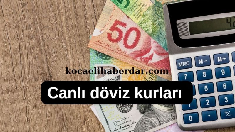 Son Dakika Döviz Kurları 07/03/2024