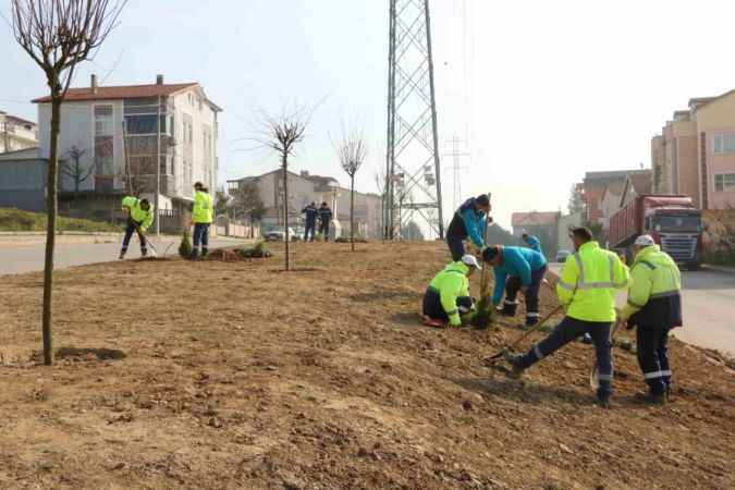 Kocaeli Büyükşehir Belediyesi'nden 800 Fidan