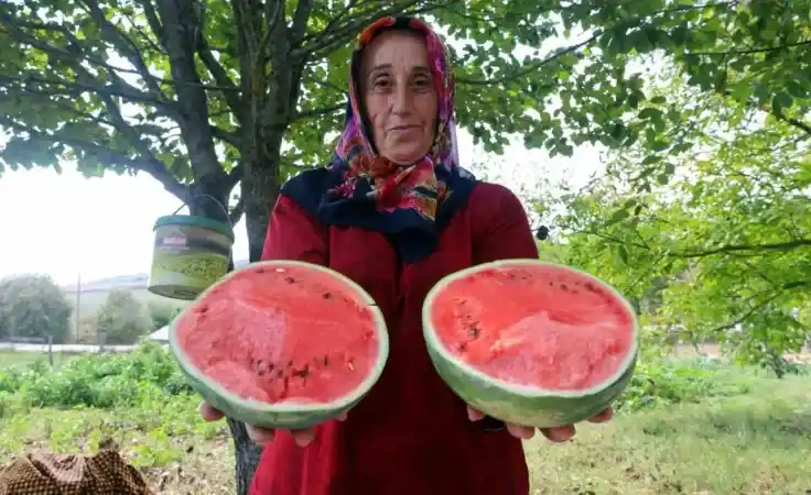 Kocaeli'de Üreticilere Karpuz Çekirdek Tohumu Dağıtılıyor