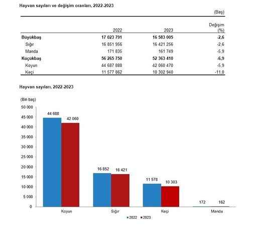 Kırmızı Et Fiyatları 2024