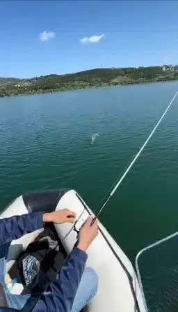 Sakarya'da 1 Metrelik turna Balığı