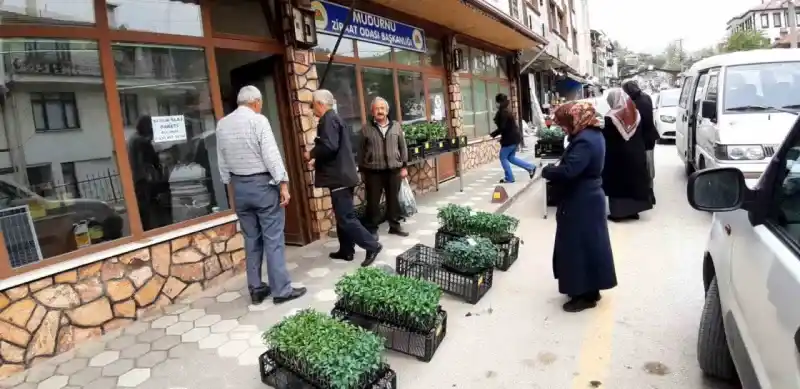  Mudurnu'da Bahar Havası: Seralar Yeşeriyor!