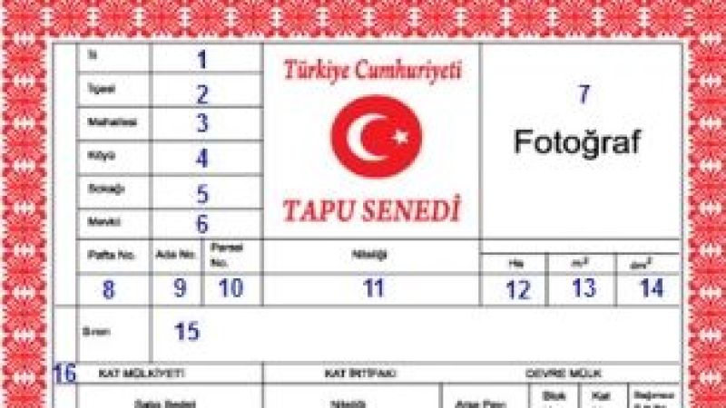 Yeni Düzenleme: Kardeşler Arası Tapu Devri Kolaylaştı