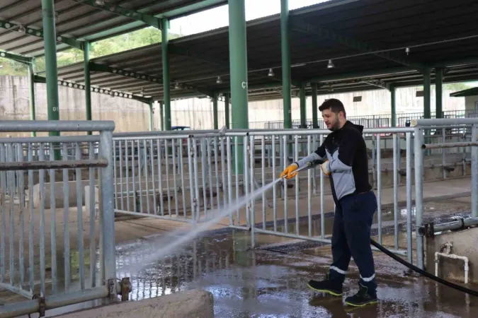 Modern Hayvan Pazarı Kurban Bayramı’na hazırlanıyor