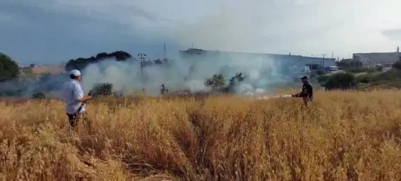 Gebze'de Yulaf Tarlasında Yangın Çıktı