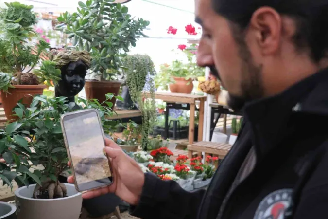 Bolu'da Isırınca Öldüren Yılan Türü Görüldü...