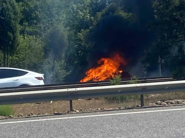 Sakarya'da Otomobil Cayır Cayır Yandı