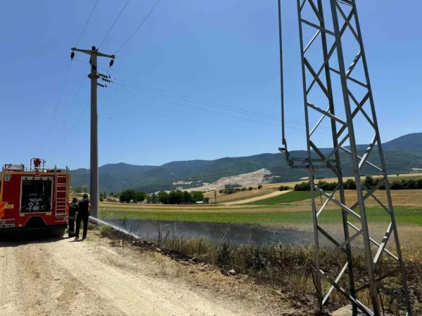 Bolu'da Trafodan Çıkan Yangın Kıvılcımları Arpa Tarlasını Küle Çevirdi