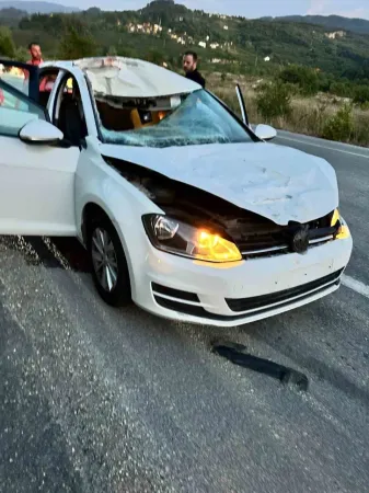 Sakarya'da Geyik Kazaya Yol Açtı!