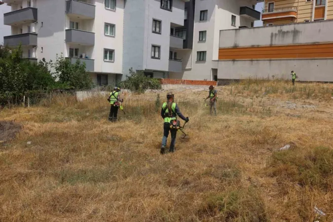 Çayırova'da Yabani Otlar Temizlendi