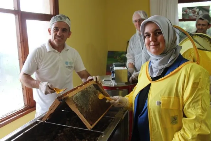 Düzce’de Kestane Balı Sağımı Başladı