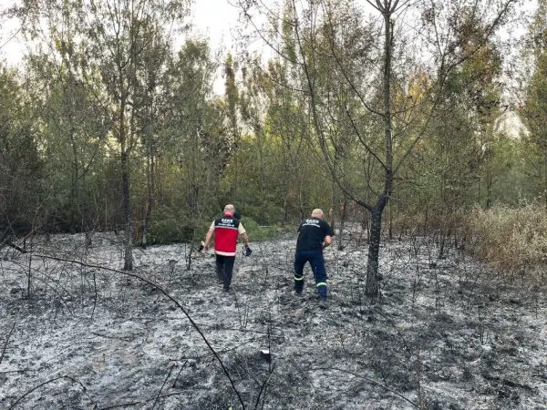 Sakarya Hendek’te Ormanlık Alanda Yangın Çıktı