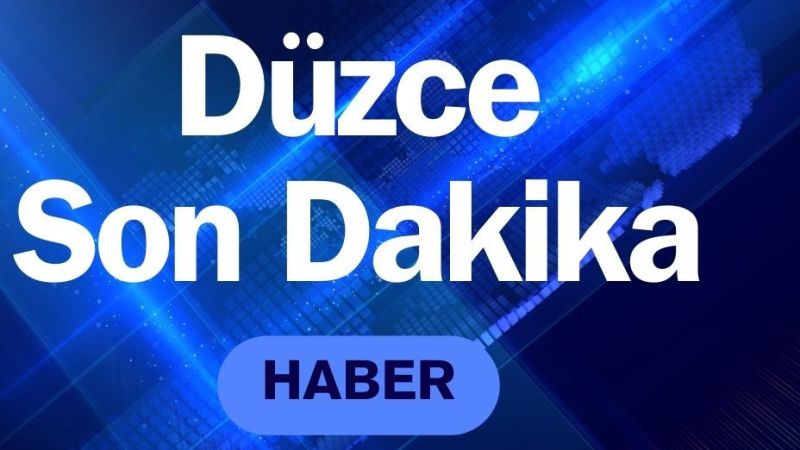 Düzce'de Araç Kaza Yaparak Alev Aldı