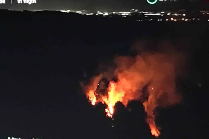 Sakarya’da Ormanlık Alanda Yangın!