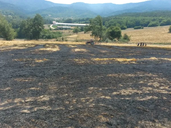 Bolu'da Balya Yapılmayı Bekleyen Buğday Sapları Alev Alev Yandı