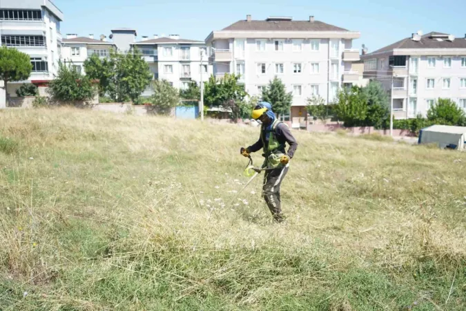 Çayırova’da Yabani Ot Temizliği Sürüyor