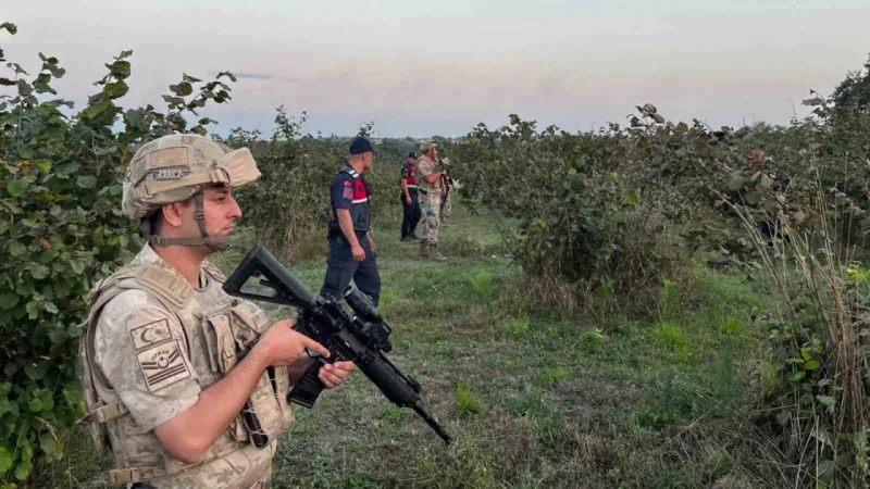 Kocaeli'de Fındık Hırsızlarına Geçit Yok