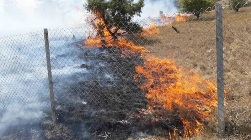 Bolu'da 4 Tarla ve 1 Mezarlık Kül Oldu