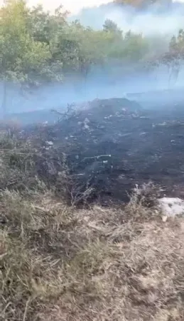 Sakarya’da Orman Yangını Ekipler Seferber Oldu