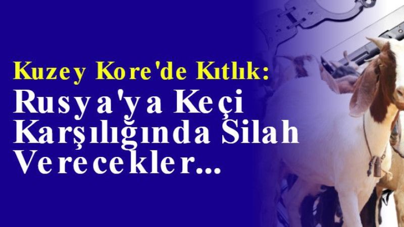 Kuzey Kore'de Kıtlık: Rusya'ya Keçi Karşılığında Silah Verecekler