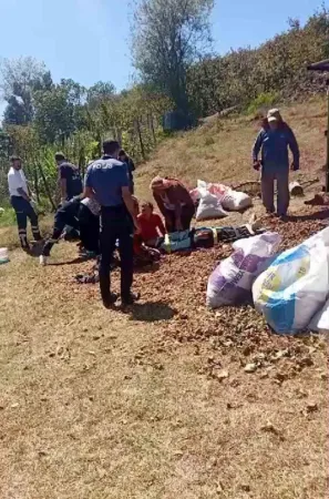 Mevsimlik Tarım İşçilerini Taşıyan Traktör Devrildi: 13 Yaralı