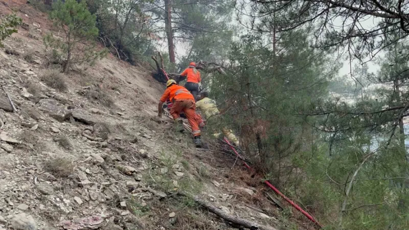 Bolu'da Gönüllüler İşlerini Bırakıp Alevlere Koştu