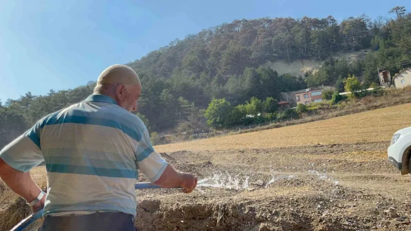 Bolu’da Orman Yangını Kontrol Altına Alındı, Vatandaşlar Evlerine Dönüyor