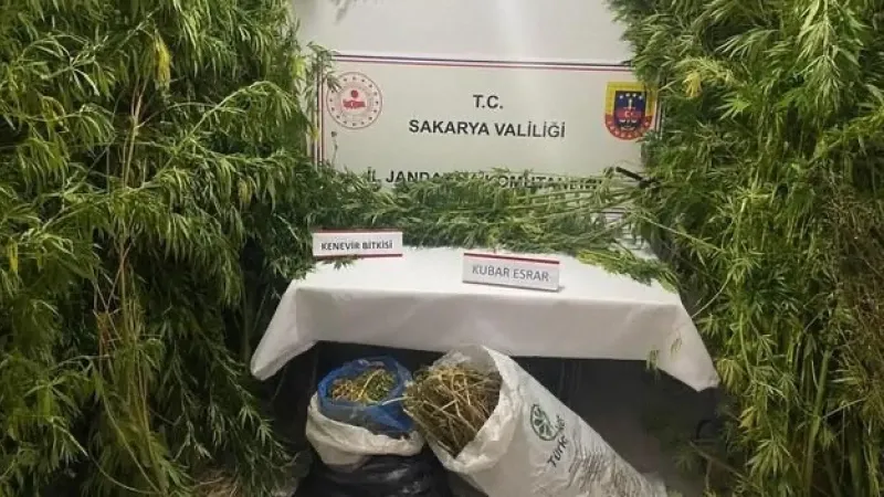 Sakarya'da Jandarma Uyuşturucuya Geçit Vermiyor