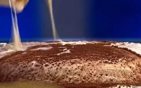 MasterChef'ten Tiramisu Efsanesi! En Güzel Tiramisu Nasıl Yapılır?