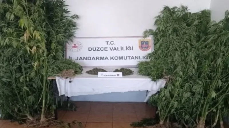 Düzce’de 42 Şahsa Uyuşturucudan İşlem Yapıldı