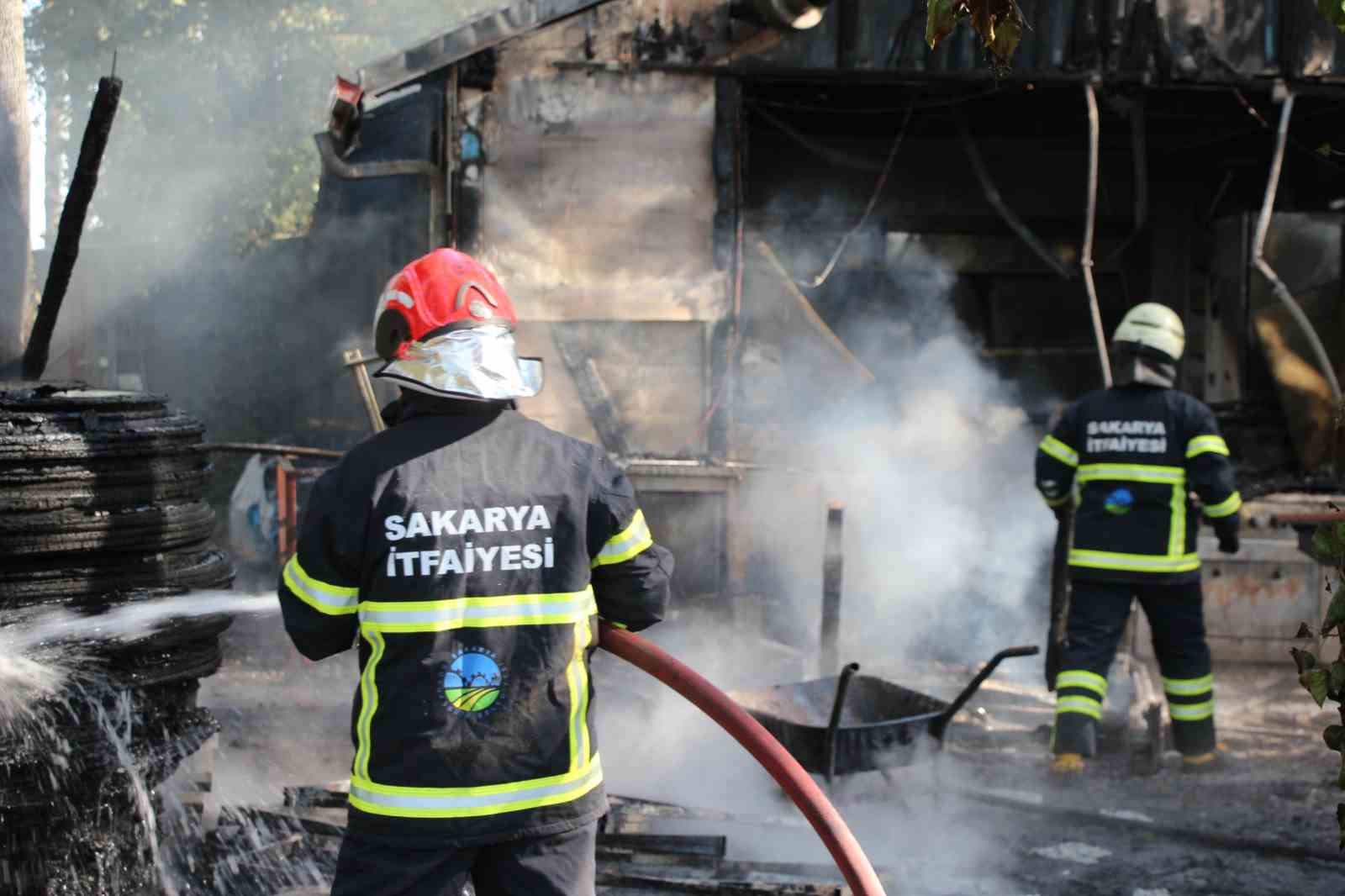 Sakarya Akyazıda Mesire Alanını Alevler Sardı! Ahşap Tesisin Mutfağı Küle Döndü