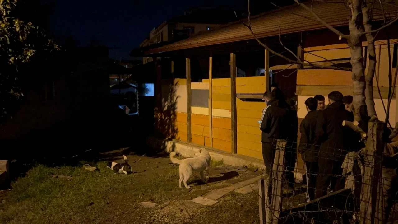 Düzce’de uzun süredir haber alınamayan Ömer Aktepe 'yi sokak köpekleri buldu