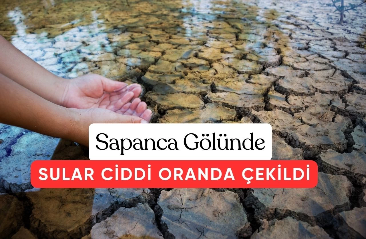 Sapanca Gölü Alarm Veriyor: "Kaynaklarımız Tükeniyor, Harekete Geçelim!"